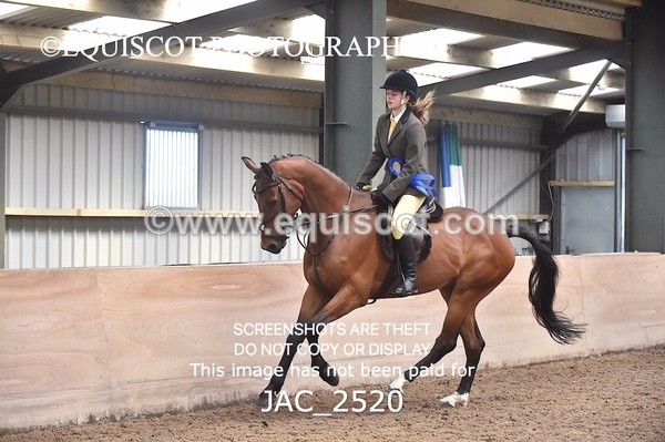 JAC_2520 - CLASS 3 Intermediate Working Hunter