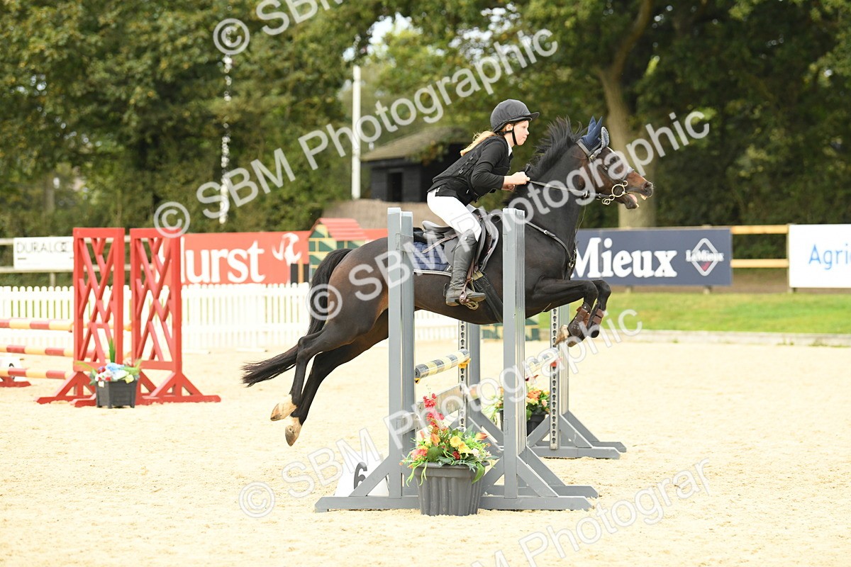 SBM_75770 - Supreme Championship