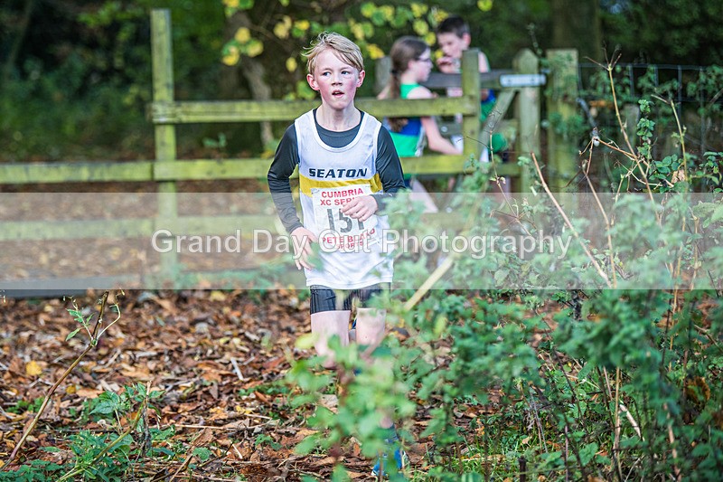 Cumbria XC-257 - Cumbria XC League Workington Saturday 26th October 2024