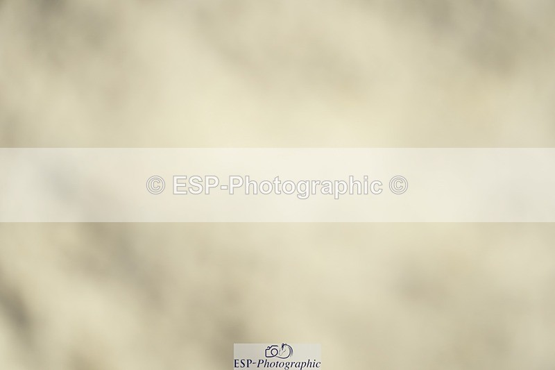 230909-120906-05577 - Cls 17 Snr 1.05m Open