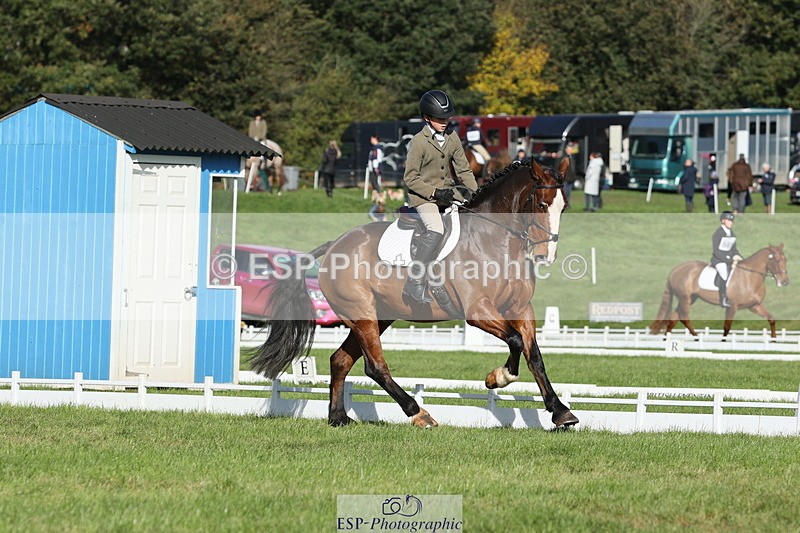 251024A-112202-09962 - D-351-Thomas.Harris