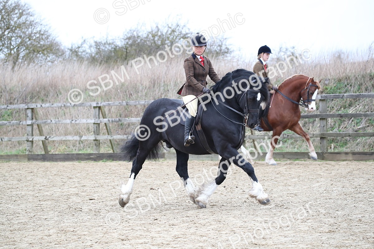 SBM_006305 - Class 10-13 - RIHS Small Large Breeds