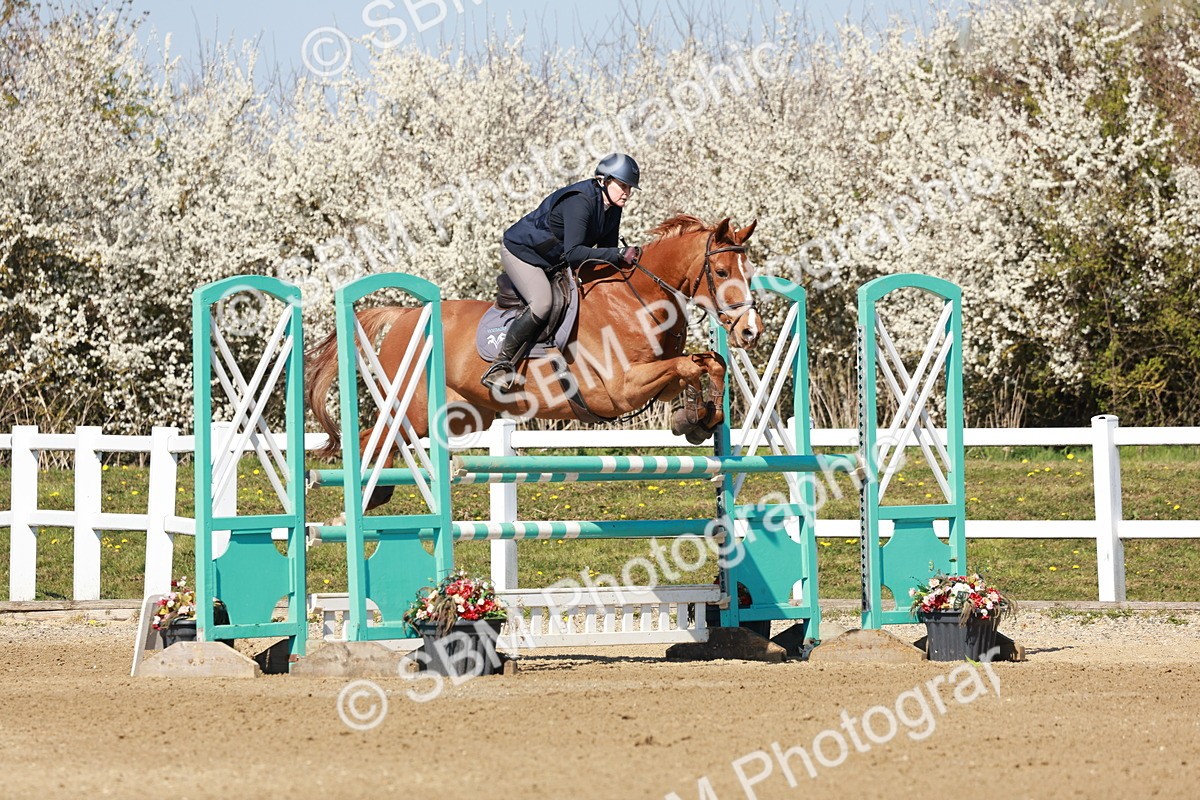SBM_004325 - Class 17 - Senior Newcomers - 1.10m
