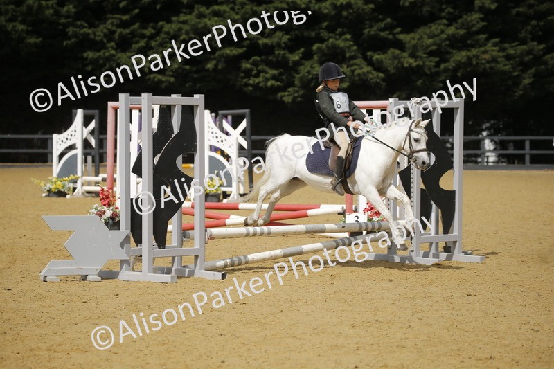 20250622-3730 - 50cm