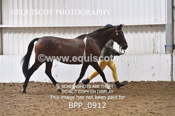 BPP_0912 - RING 2