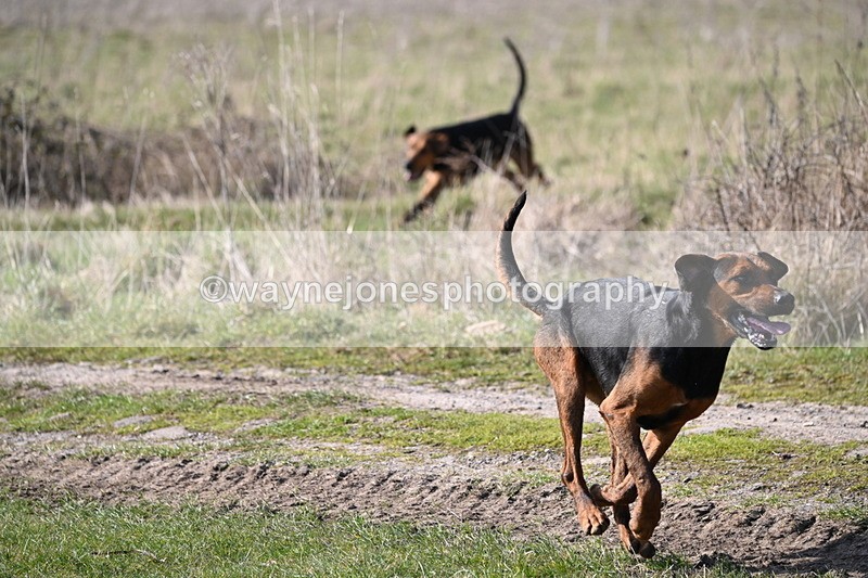 WJ6_9742 - Camera B