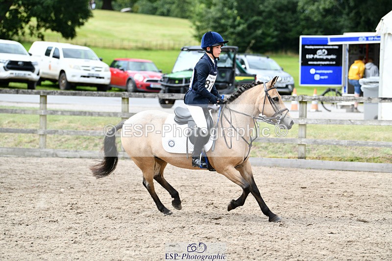 240825X-155526-36033 - 80cm SJ 14.00 to 15.55