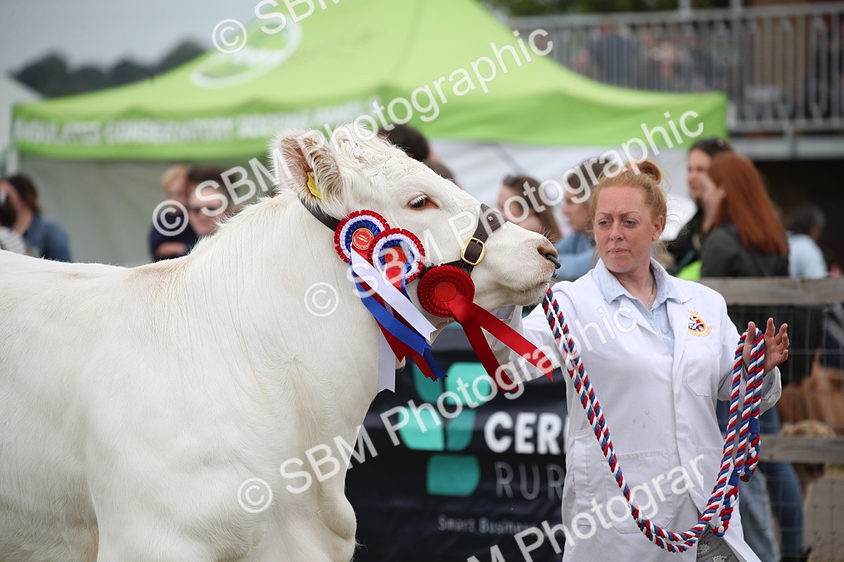 SBM_07826 - Grand Parade
