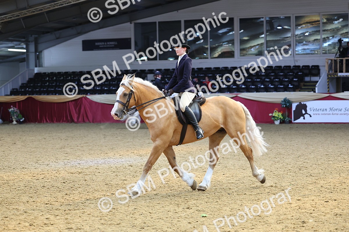 SBM_24368 - Class 906 - Supreme Final - Ridden Pre Vet