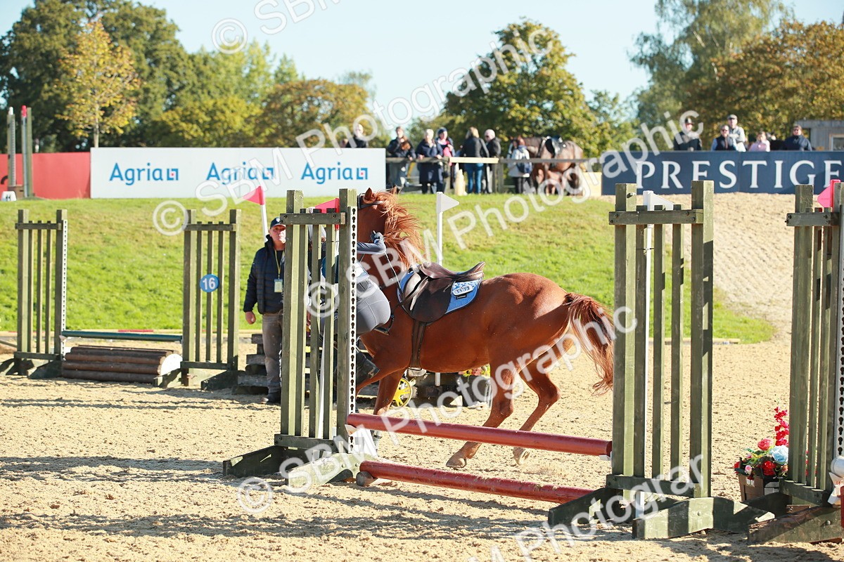 SBM_15268 - Class E5 - Eventers Challenge 50cm Open