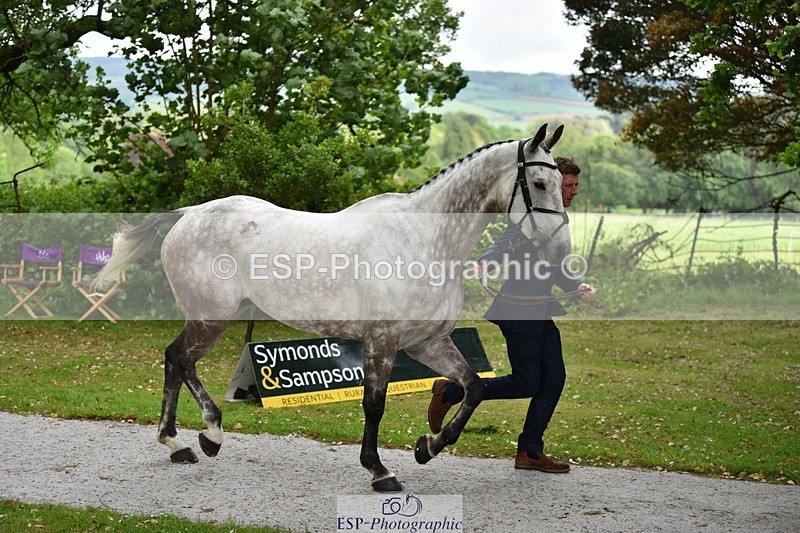 240522-150754-00110 - 369-STARMAN_III-Matthew_Hecking