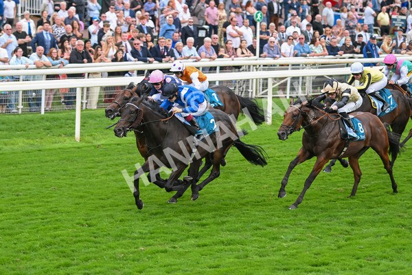 080925-Race 5-Elmonjed-7701 - Race 5 4.30pm Sky Bet Starman Garrowby Stakes