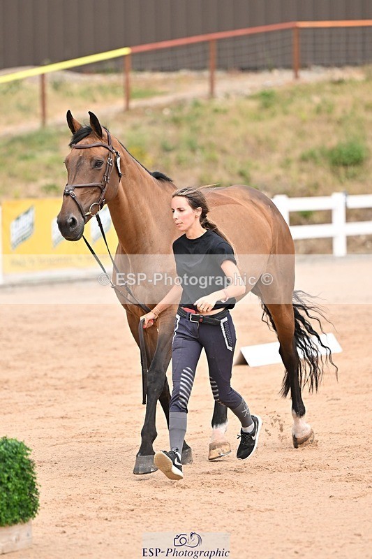 250716-150732-01656 - Trot Up 2.30 to 3.30