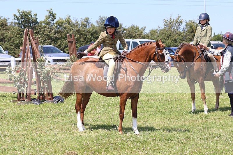 JPP_2762 - Class 21: Working Hunter 60cm