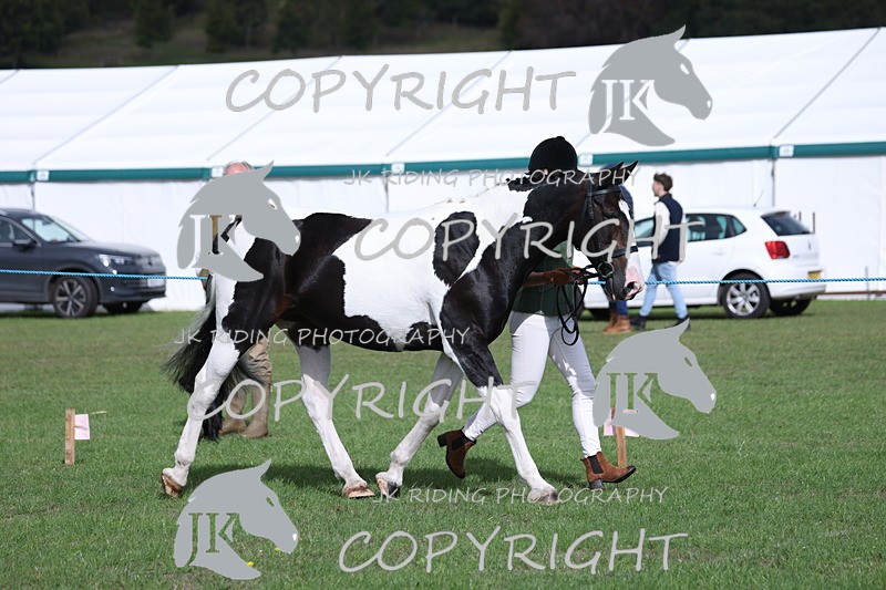 APP_2601 - Class 9 Veterans in hand