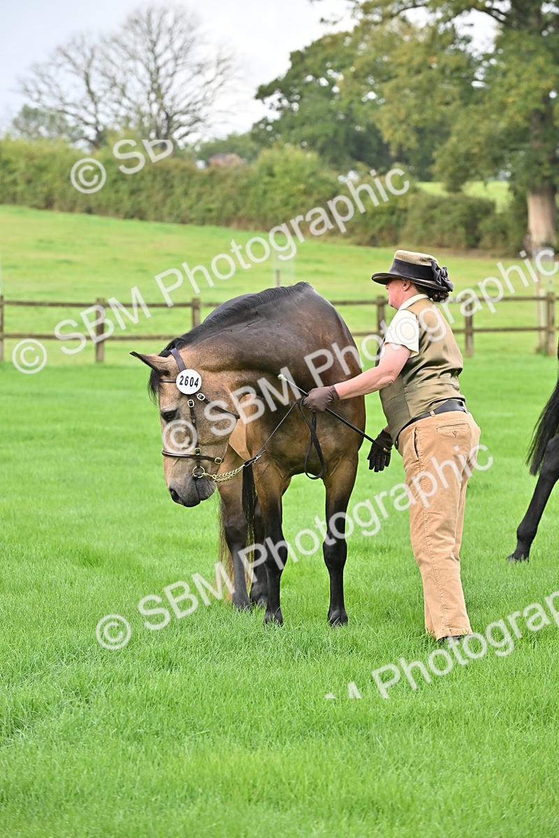 SBM_32630 - S15 - Top Turnout In Hand