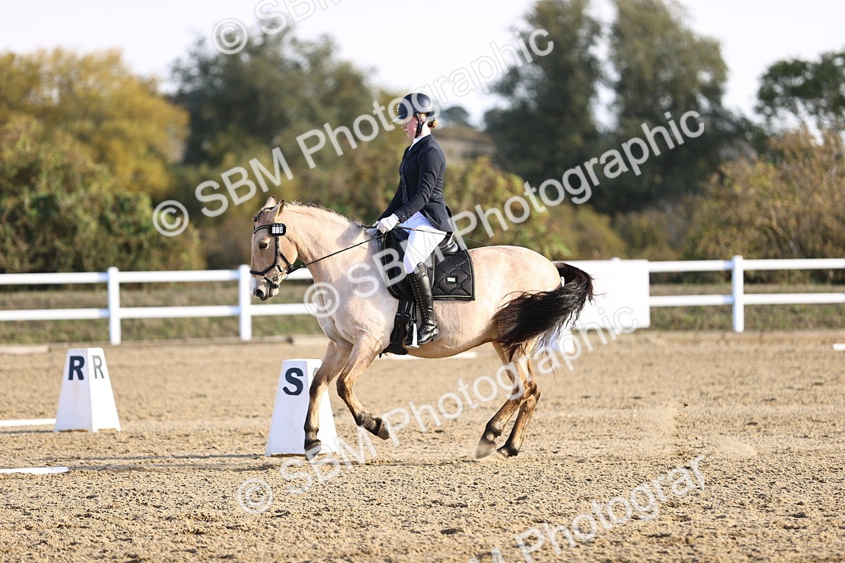 SBM_009098 - Class 2 - P5