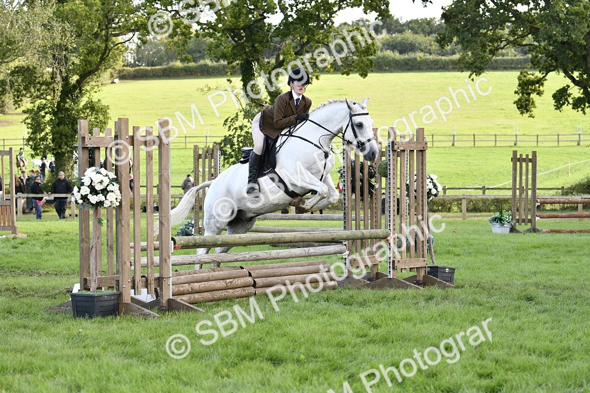 SBM_52182 - S35 - Working Hunter & Working Show Horse