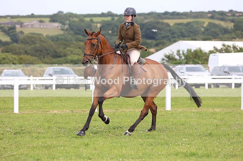 JPP_4096 - Class 24: Working Hunter 90cm