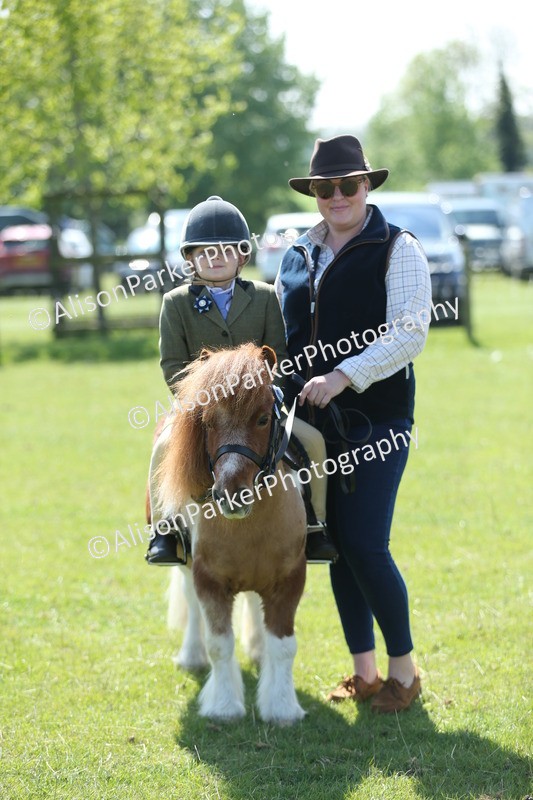20250427-2667 - Class 6 - Pony Judge Would Most Like To Take Home