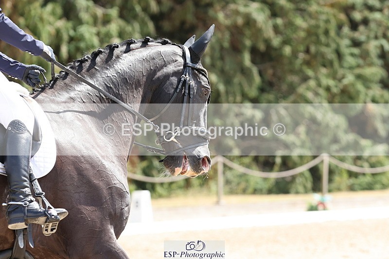 250809A-140617-03889 - 141-Brooklyn.DawRoulette.MKM