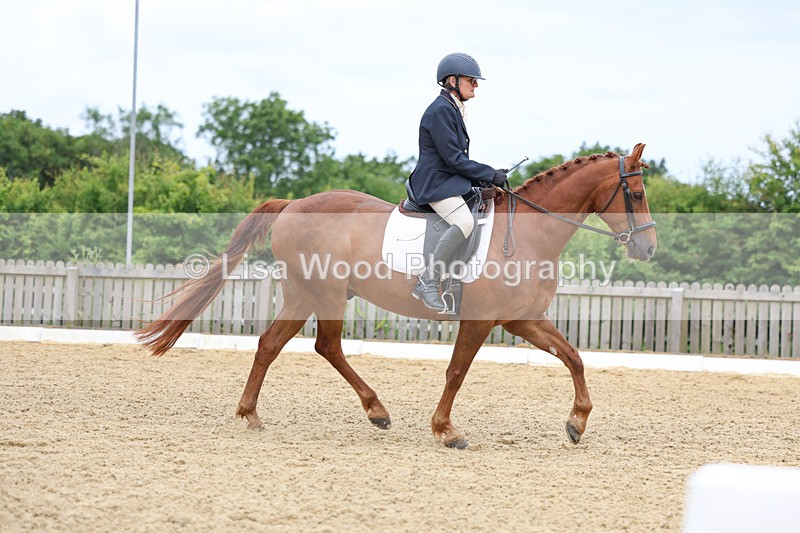 3E7A9365 - Class 2: Intro 1 2024 Section B