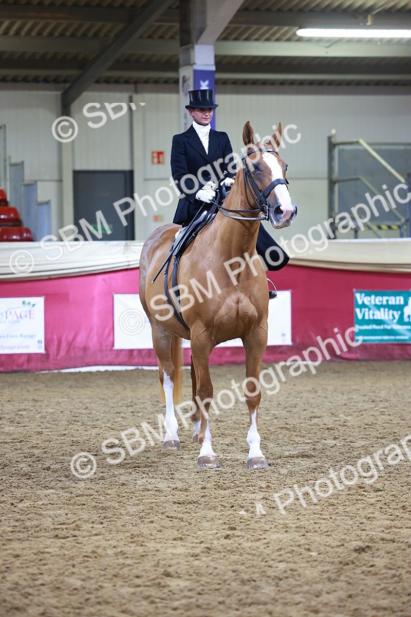 SBM_14727 - Class J - Foreign Breeds Champ