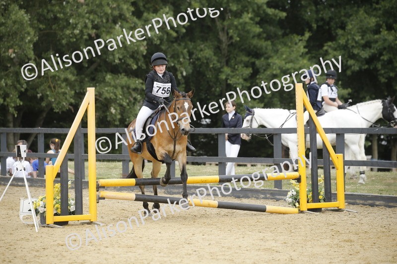 20250622-6327 - 60cm