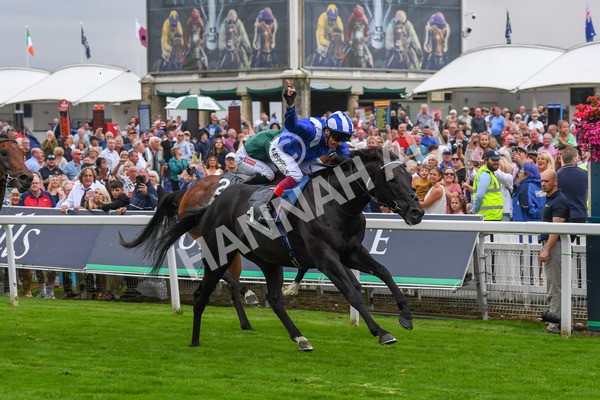 230823-Race 4-Mostahdaf-0594 - Race 4 3.35pm Juddmonte International Stakes
