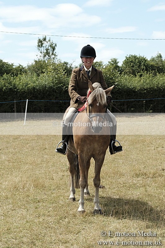 _PJP5991 - BVRC Show 2018 Ring 1