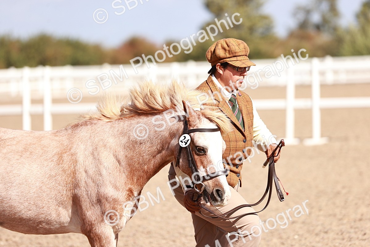 SBM_22910 - Class 706 - IH Veteran