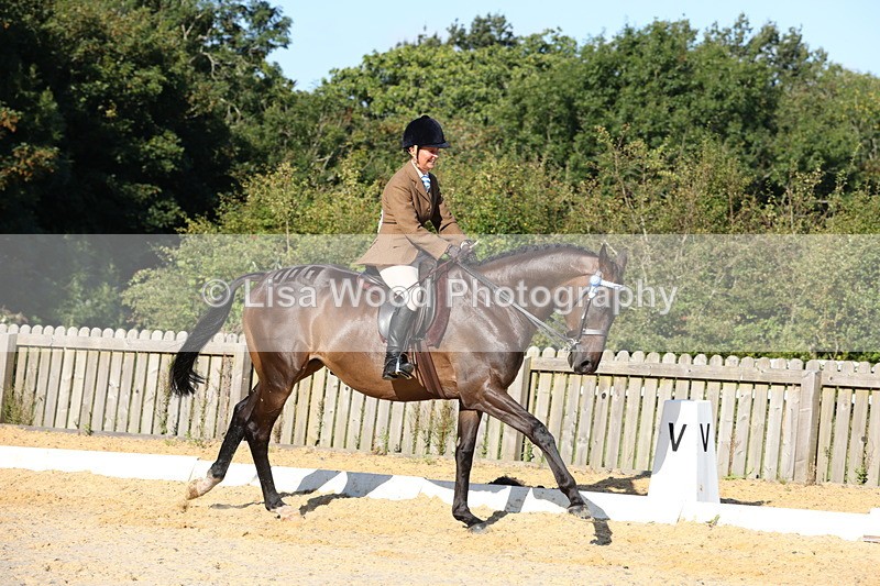 1X9A7565 - Class 7: Novice Ridden Hunter/Hack/Cob/Riding Horse