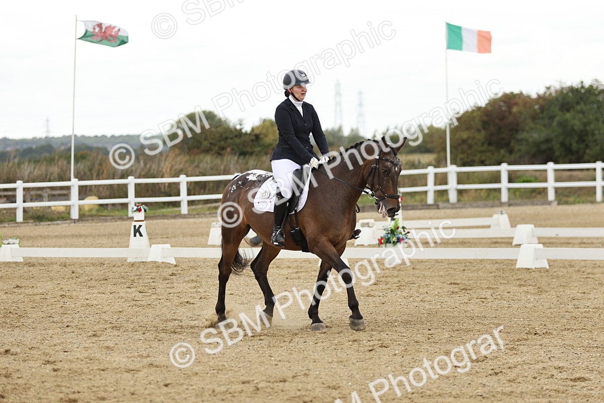 SBM_006996 - Class 21 - Medium 5 Bronze - 10.04-10.52