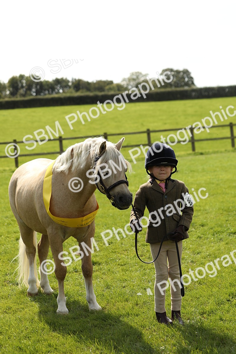 SBM_66323 - In Hand Pony & Youngstock Supreme Championship