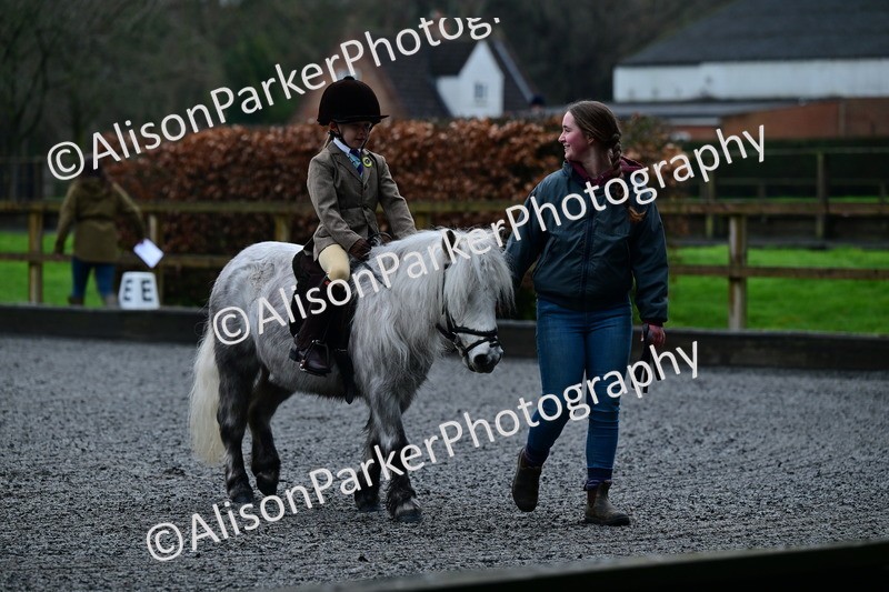 20260125-0808 - Class 9a - Walk Trot Assisted