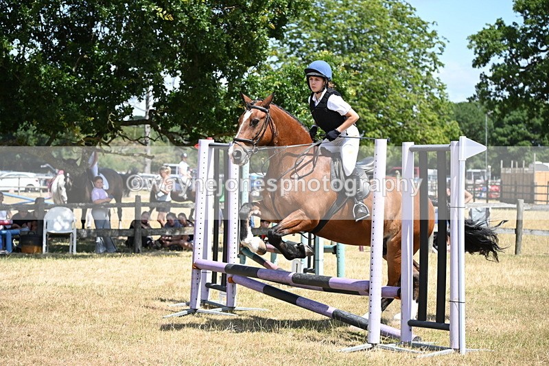 WJ6_5947 - Class 13 Novice 60cm