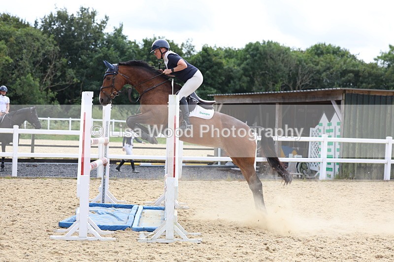 3E7A6541 - Class 9: Senior Foxhunter/1.20 open
