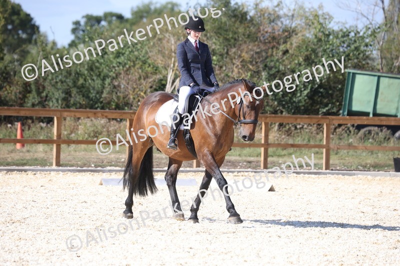 20260905-1590 - Class 5 - Novice 2