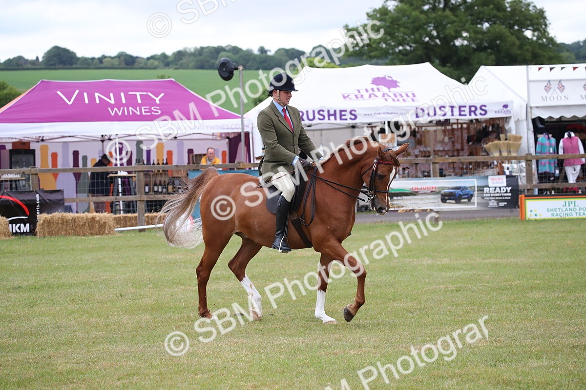 SBM_03623 - Class 21 - 22 - Ridden Arab and Part Bred/Anglo Arab