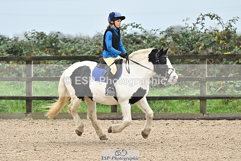 241110-095408-00119 - 40cm Showjumping