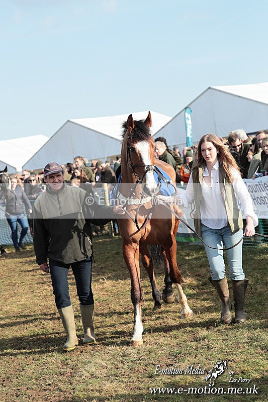 PtP 010325 388 - Beaufort Races Didmarton 01/03/25