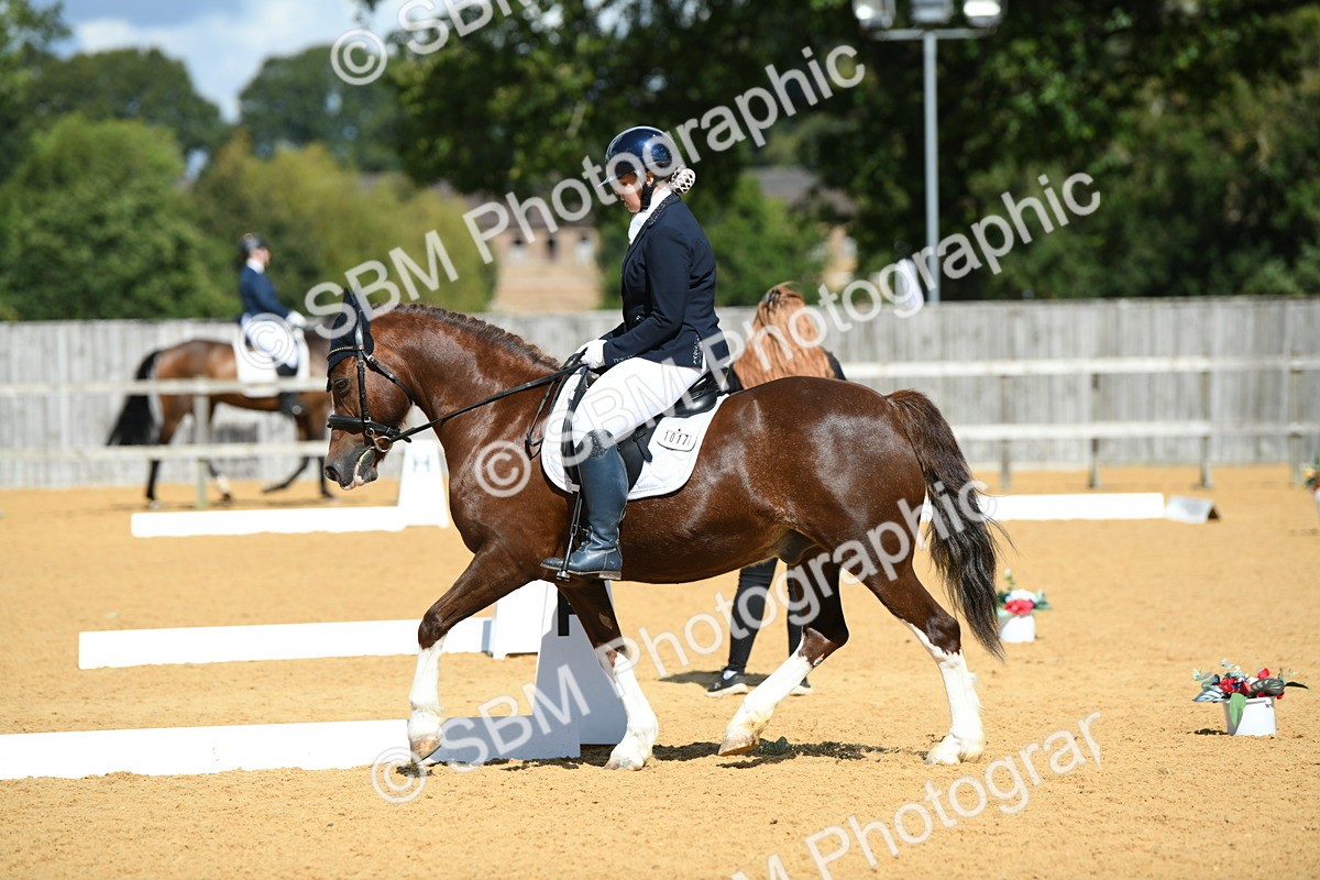 SBM_06438 - D15 Small Tour Championship Novice 24