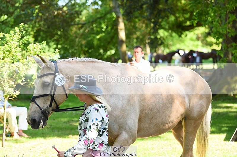 230524-150924-00097 - 356-THE_DUMB_BLONDE-Kat_Raybould-WEDTrotUp+DR