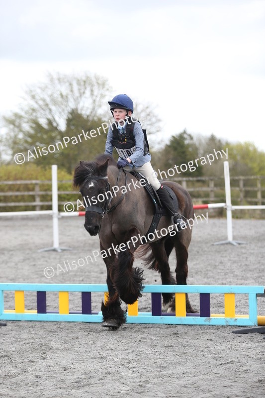 20260412-0597 - Show Jumping