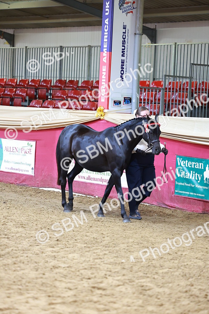 SBM_18538 - Class 903 - Sup Final - IH Pre Vet