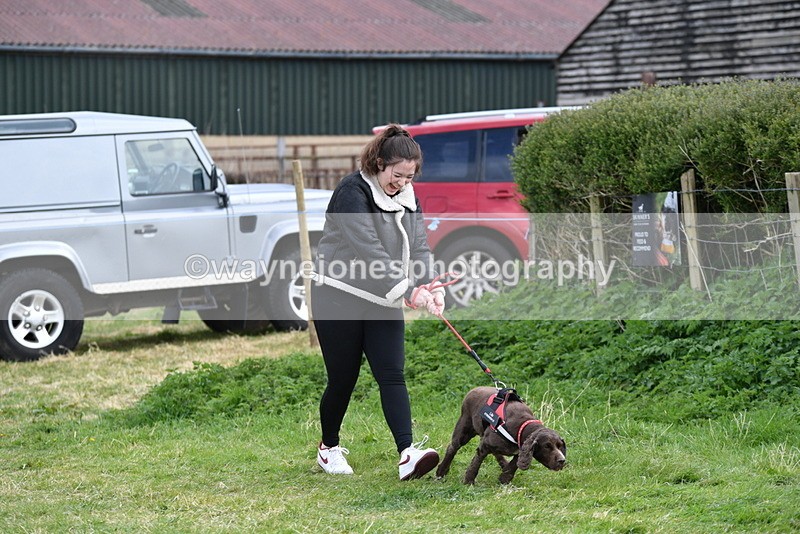 WJ5_0053 - Class 5 Best Veteran / 7 years & over