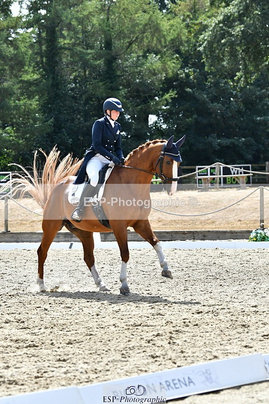 260802A-151701-07341 - Intermediate Bronze