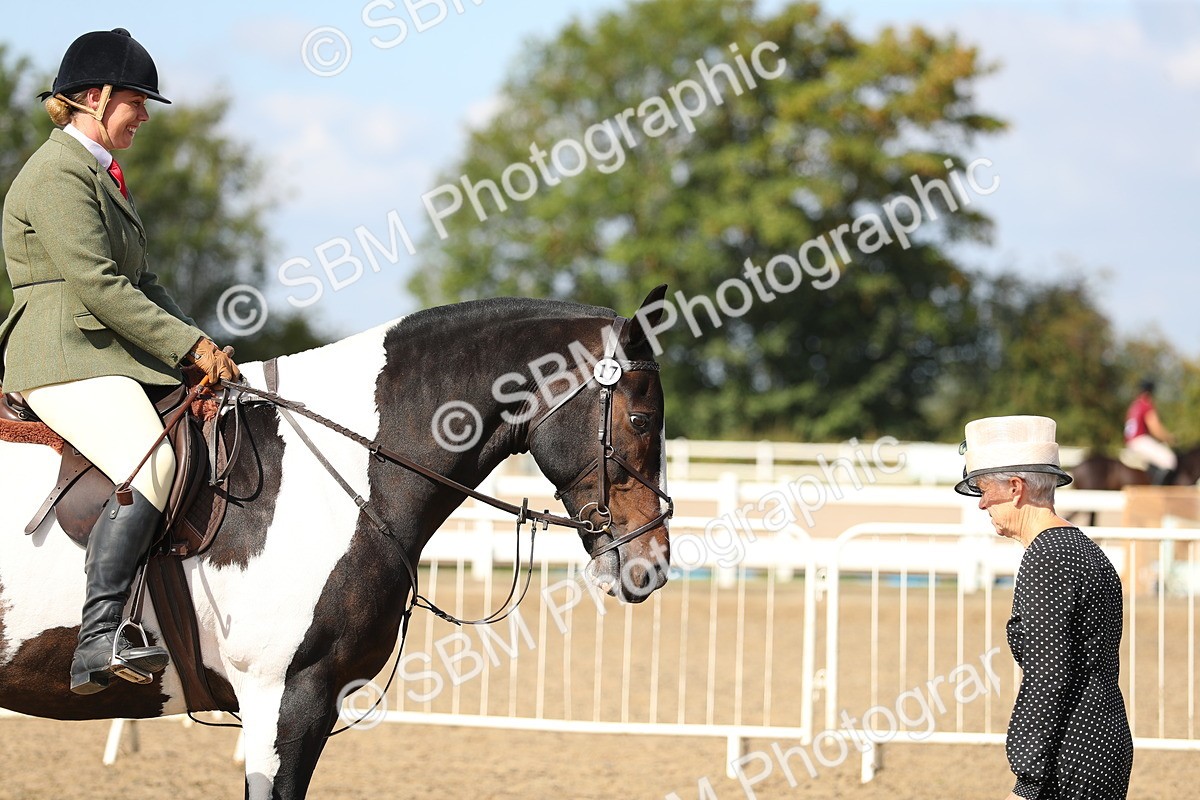 SBM_03182 - Class 44 Riding Club Horse/ Pony