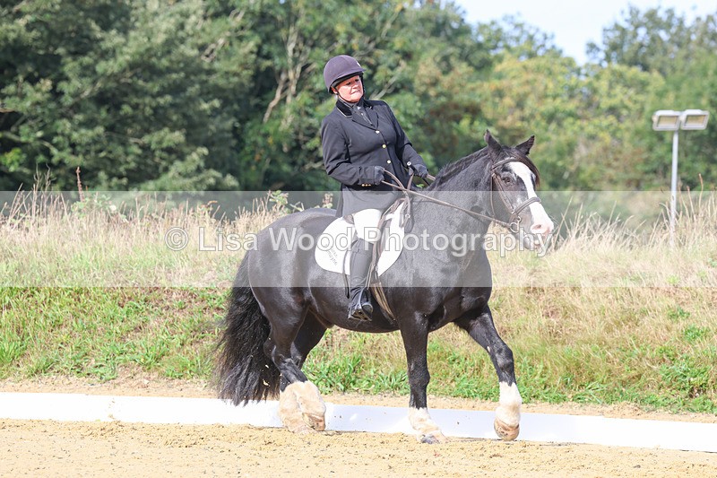 3E7A2306 - Class 1: Intro 4 2024 section A