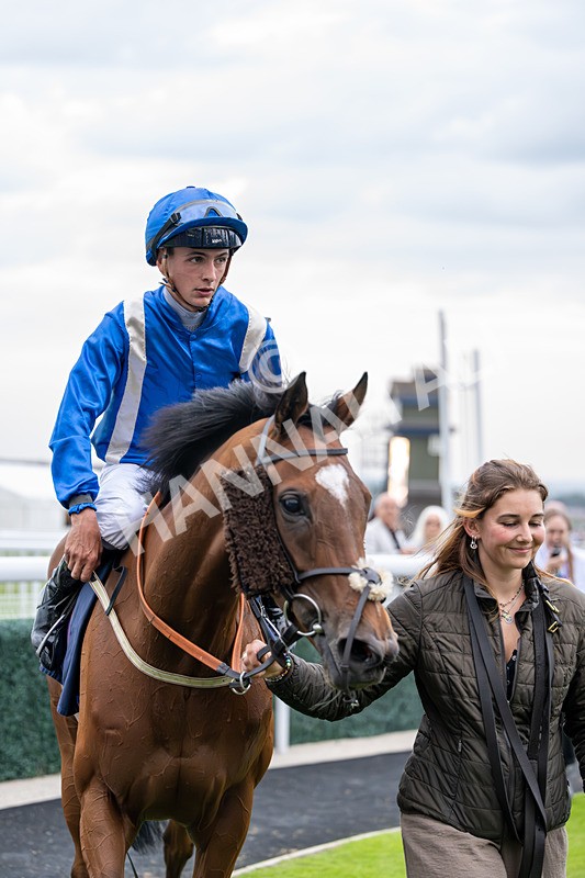 160626-Race 6-Regal Glory-5780 - Race 6 21.00pm Napoleons Casino And Restaurant Hull Handicap